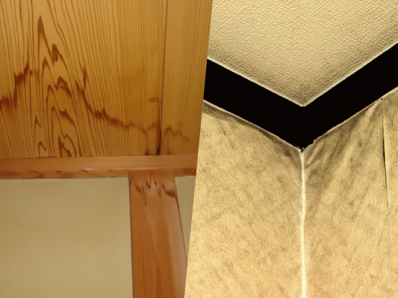 雨漏りが原因の天井の染み事例